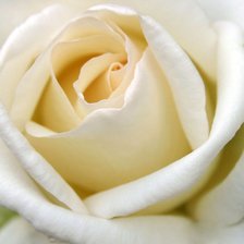 Схема вышивки «№437945»