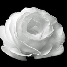 Схема вышивки «№437964»