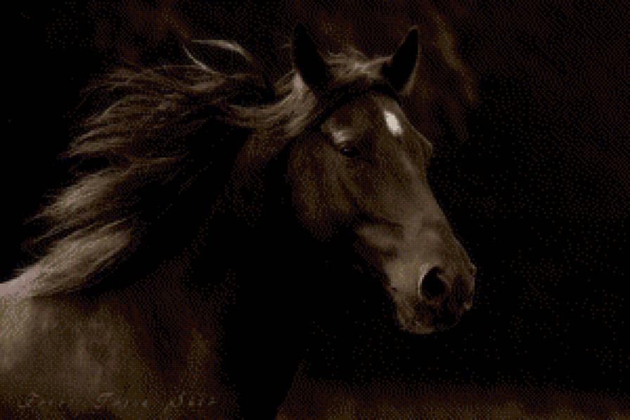 Конь - предпросмотр