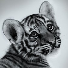 Схема вышивки «тигренок»