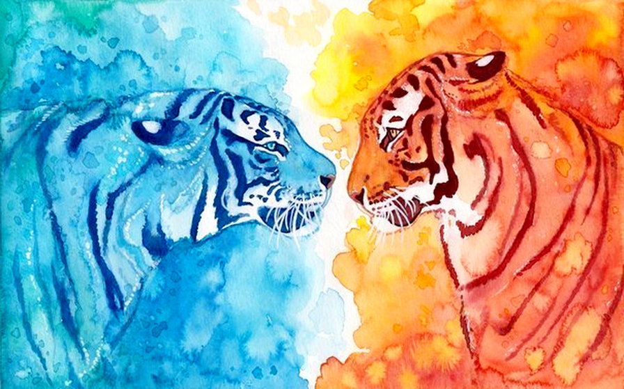 встреча - акварель, тигр, пара, хищник, живопись - оригинал