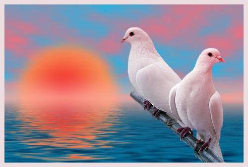 №438284 - оригинал