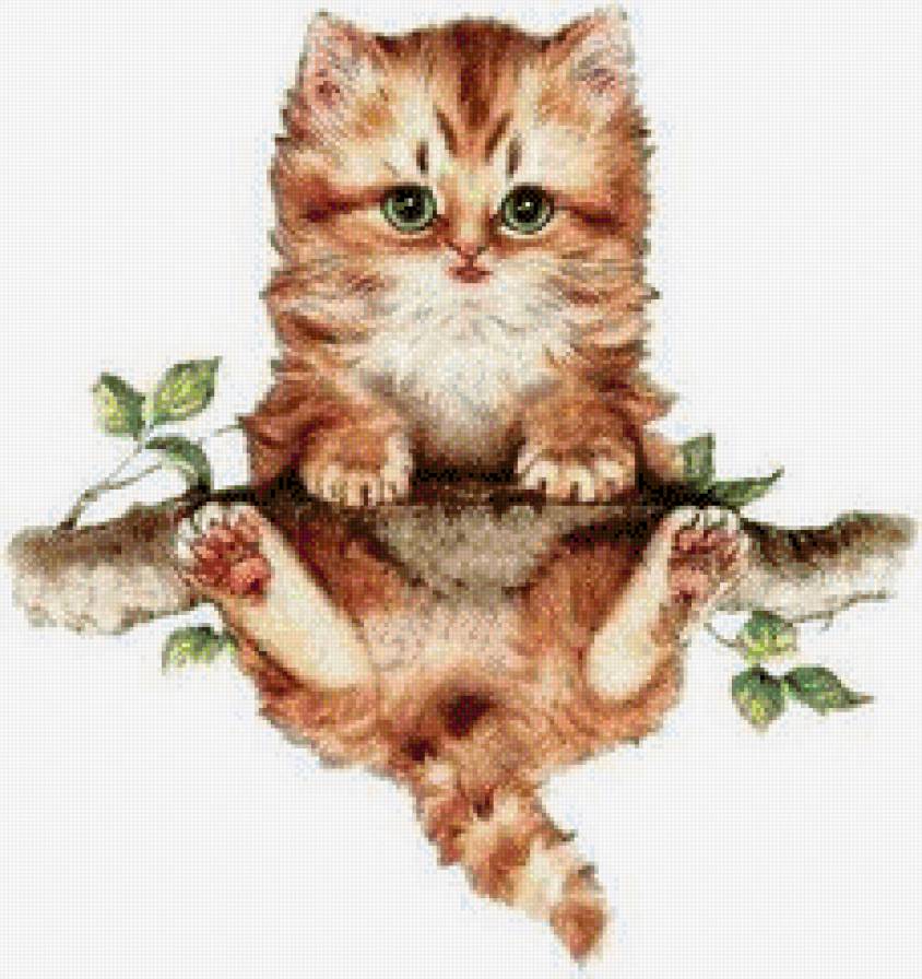 №438311 - предпросмотр