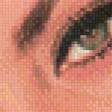 Предпросмотр схемы вышивки «софи лорен» (№438348)