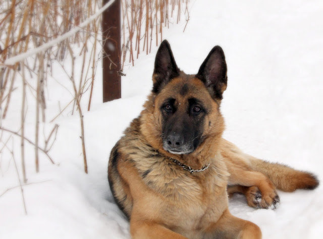 1 - оригинал