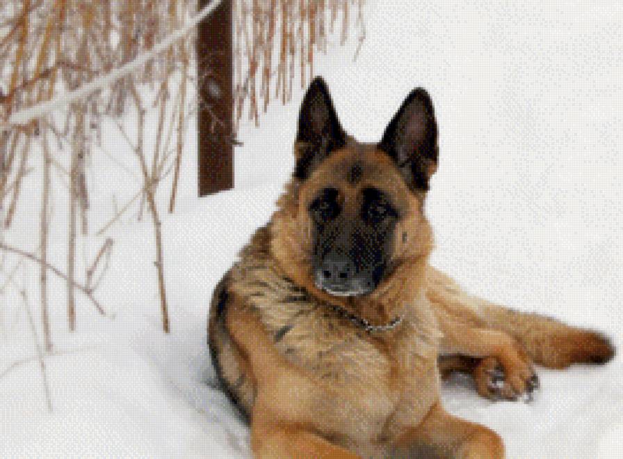 1 - предпросмотр