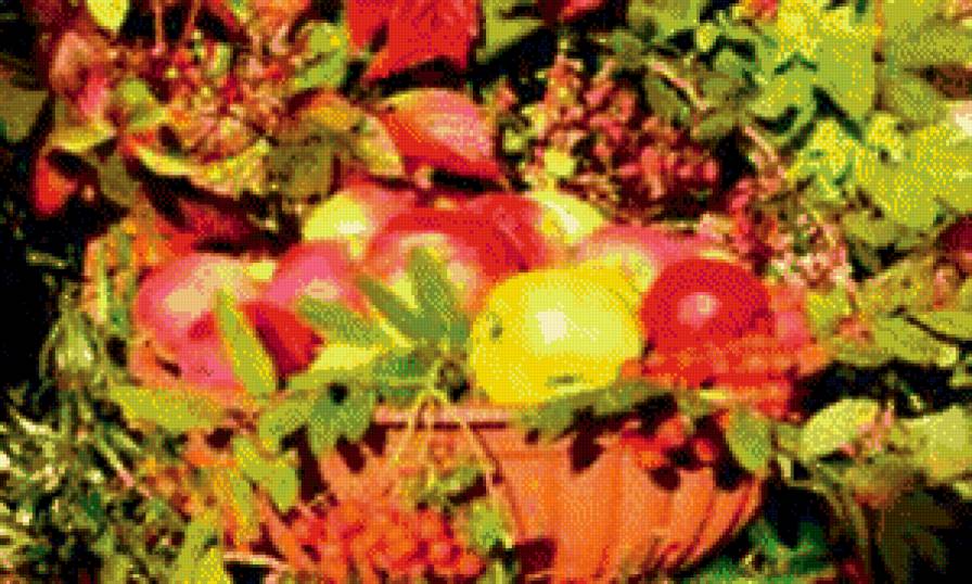 №438618 - фрукты - предпросмотр