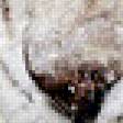 Предпросмотр схемы вышивки «Белый тигр в воде» (№438688)