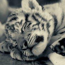 Схема вышивки «№438732»