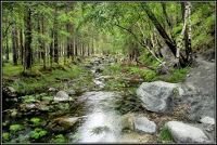 Схема вышивки «№438744»