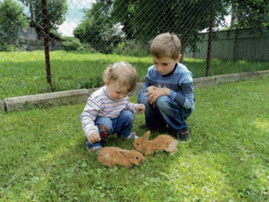 діти - предпросмотр