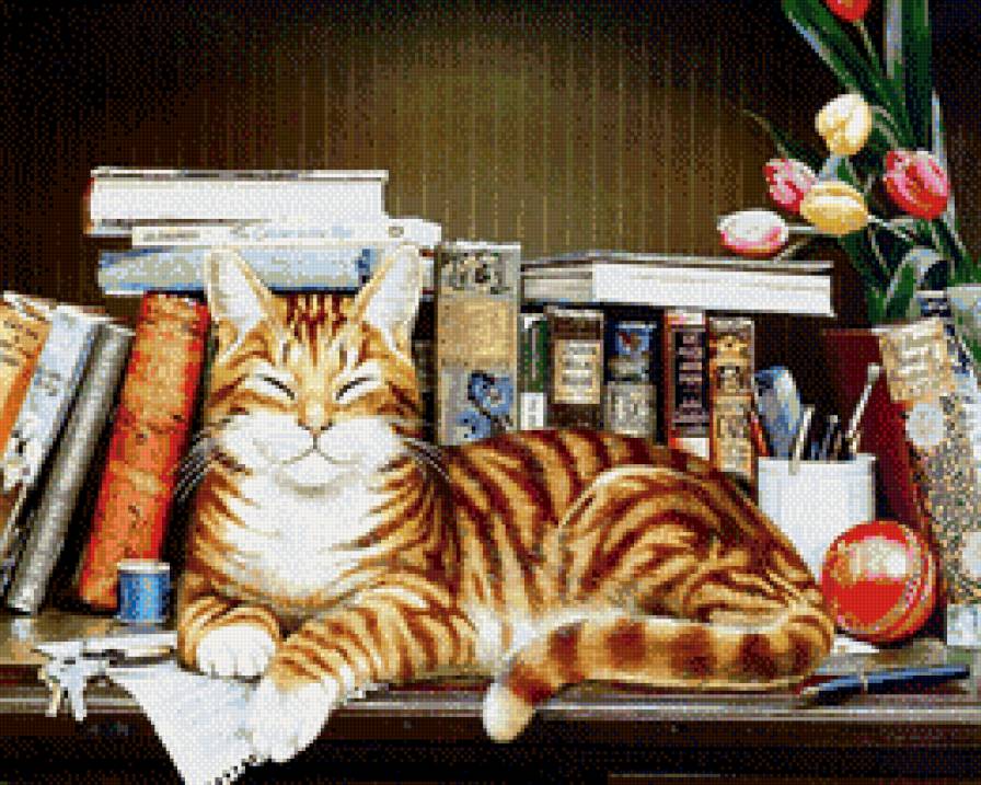 кот книколюб - полка, кот, книги - предпросмотр