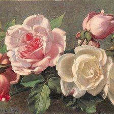 Оригинал схемы вышивки «одни розы» (№438959)
