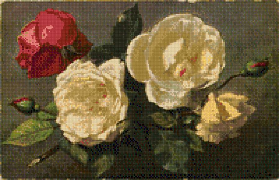 еще розы - цветы - предпросмотр