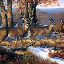 Схема вышивки «Олени»