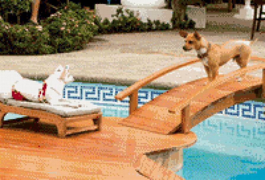 Собаки - собаки., крошка из беверли хилз - предпросмотр