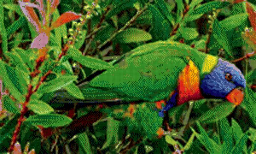 №439212 - птицы - предпросмотр