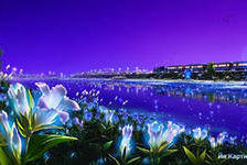 Схема вышивки «№439217»