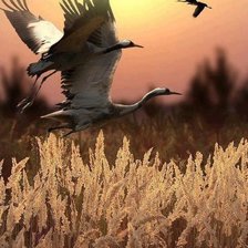 Схема вышивки «№439330»