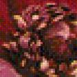 Предпросмотр схемы вышивки «Серия "Букет"» (№439438)