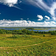 Схема вышивки «природа»