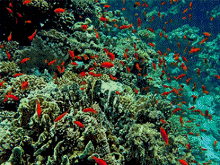 морський акваріум - море.риби - предпросмотр