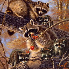 Схема вышивки «семья енотов»