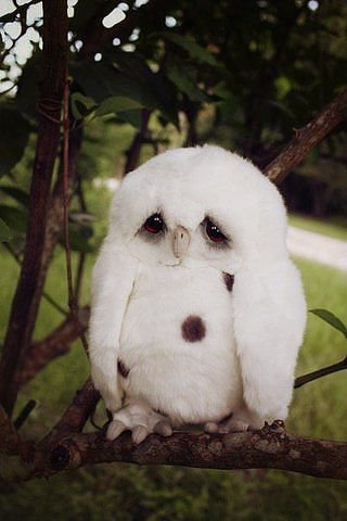 печалька - оригинал