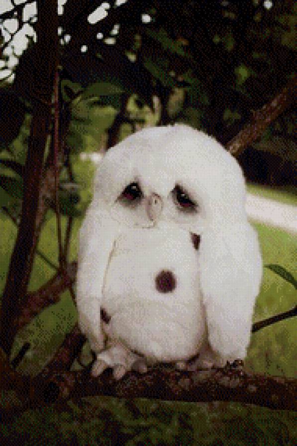 печалька - предпросмотр