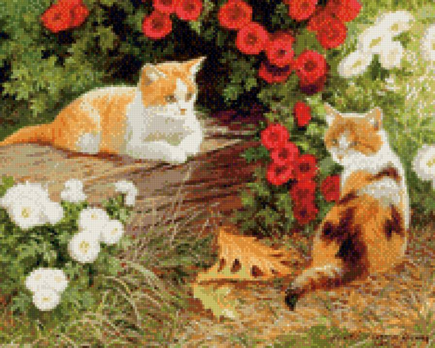 Коты в цветах - животные, коты - предпросмотр