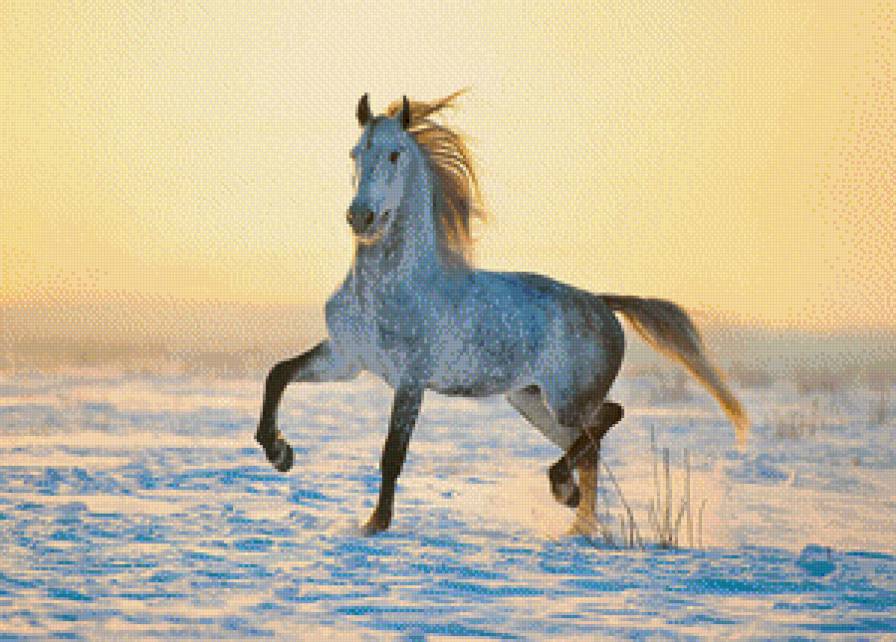 Кони 2 - предпросмотр