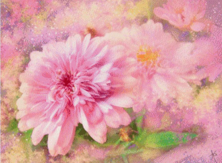 №440960 - хризантемы, букет, цветы - предпросмотр