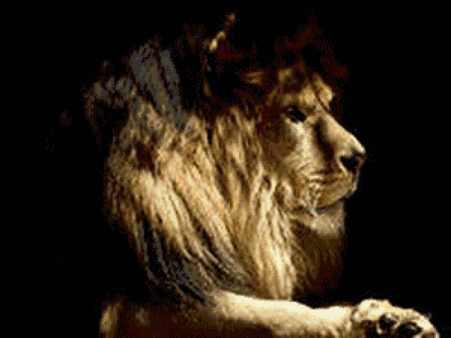 №441077 - животные - предпросмотр