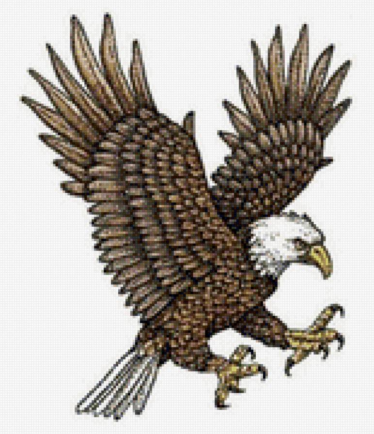 №441165 - предпросмотр