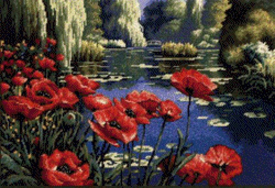 маки у озера - природа, озеро, цветы, маки - предпросмотр