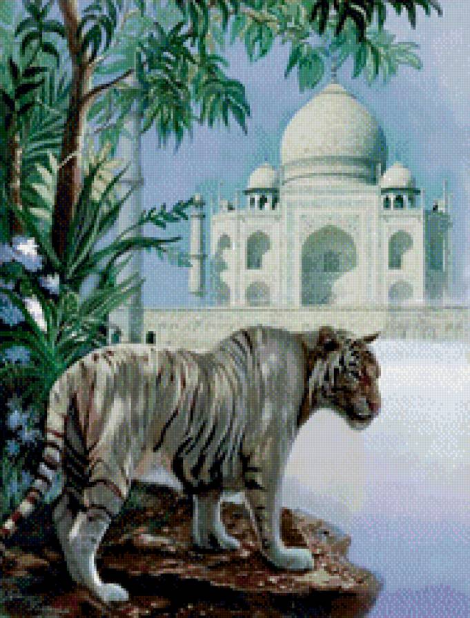 №441213 - предпросмотр