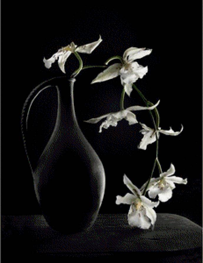 орхидеи - предпросмотр