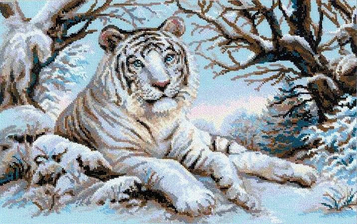 белый тигр - кошки, жвотные.тигр - оригинал