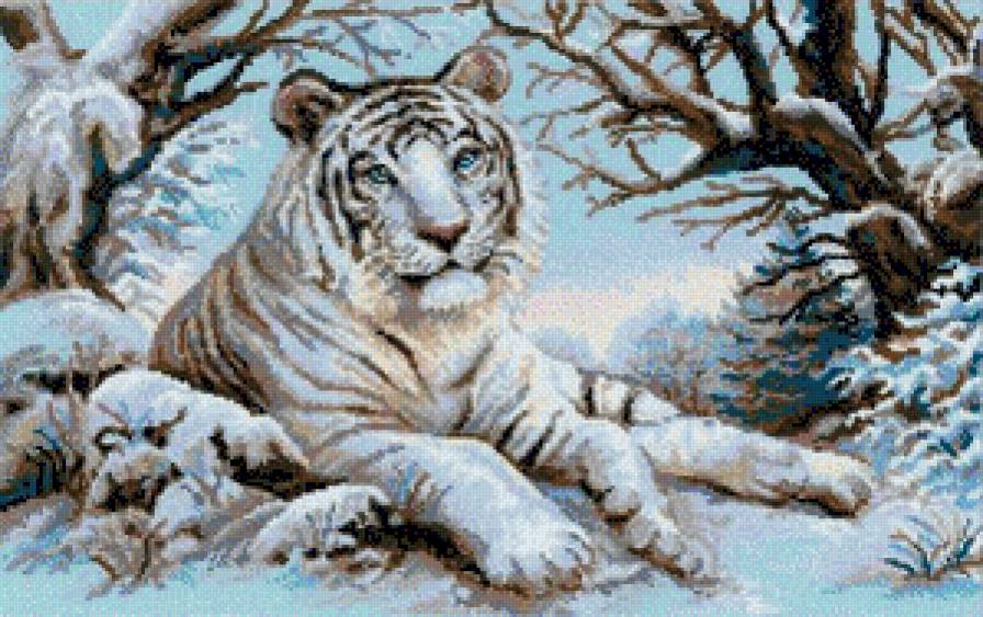 белый тигр - жвотные.тигр, кошки - предпросмотр