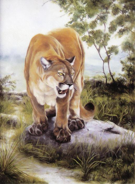 Большая Кошка - оригинал