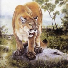 Схема вышивки «Большая Кошка»