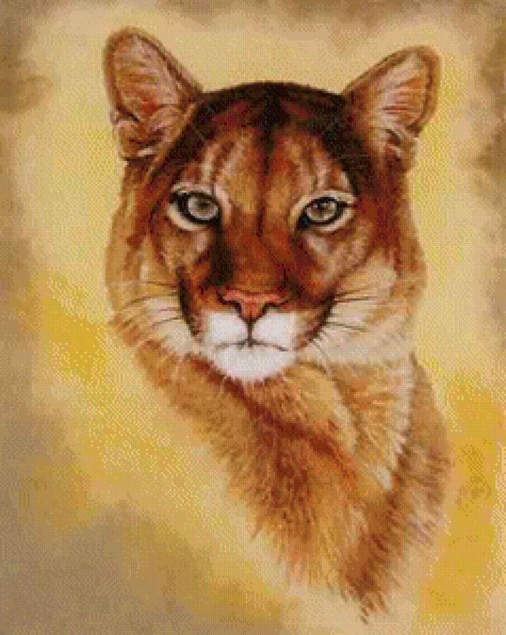 Большая Кошка - предпросмотр