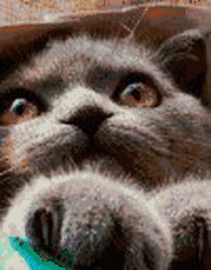 №442001 - животные - предпросмотр