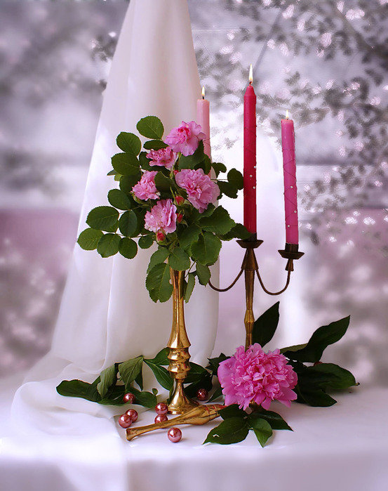 Натюрморт - натюрморт, цветы - оригинал