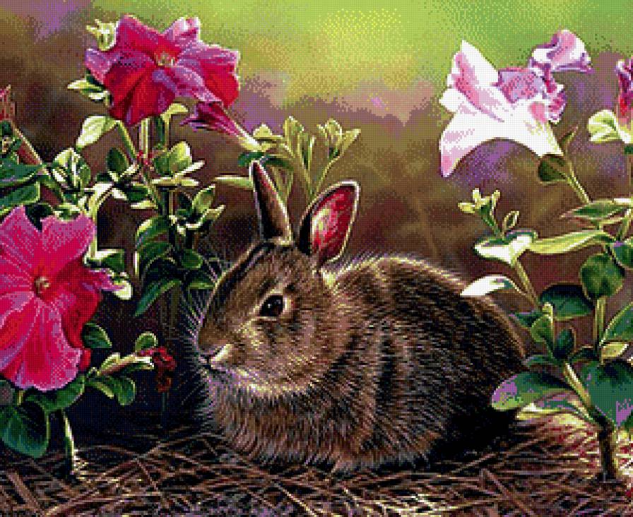 Кролик - кролик, зайчик, животные - предпросмотр