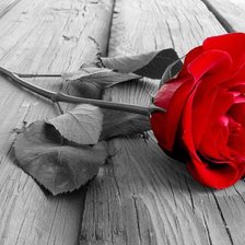 Схема вышивки «цветы»