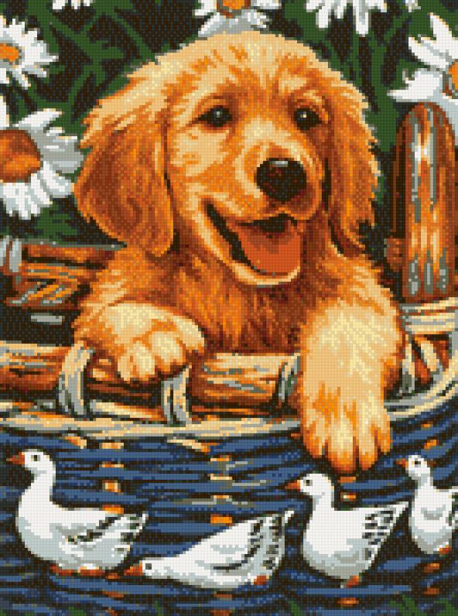 Собачка - предпросмотр