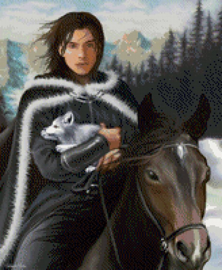 Всадник - лошади, парень, животные - предпросмотр