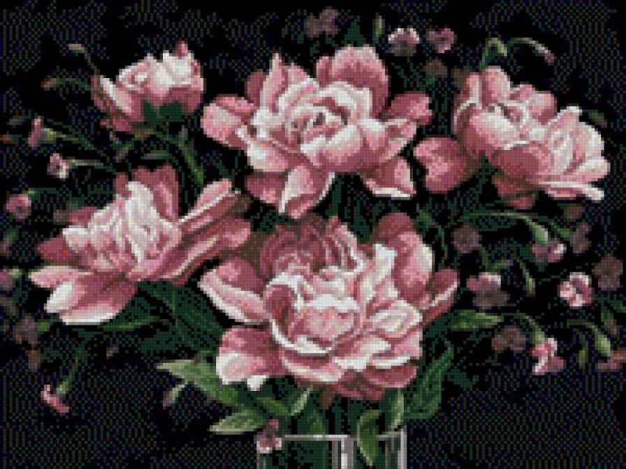 букет на черном - цветы, букет - предпросмотр