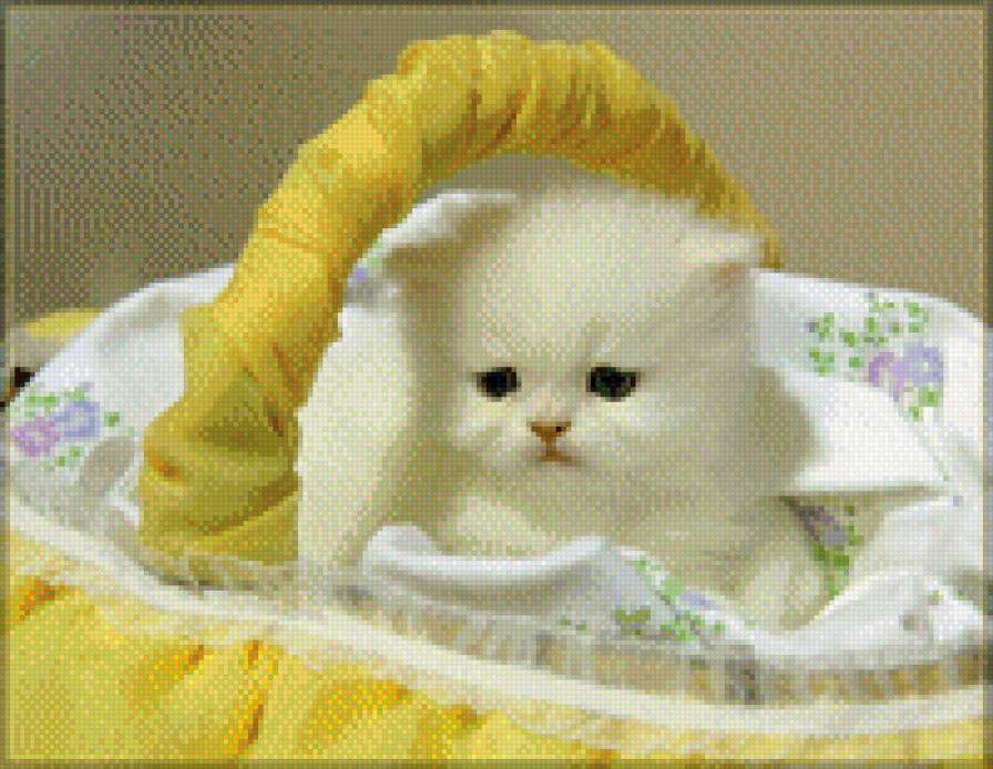 Котенок в корзине - животные, коты - предпросмотр